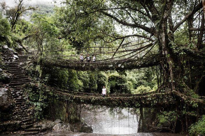 nationalgeographic.com