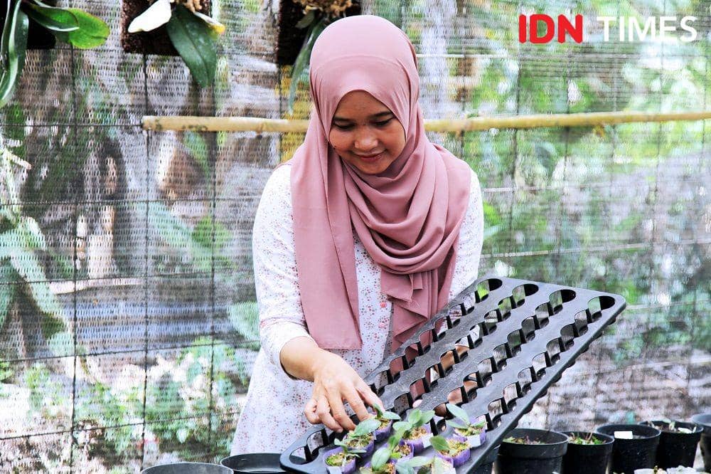 IDN Times/Rully Bunga