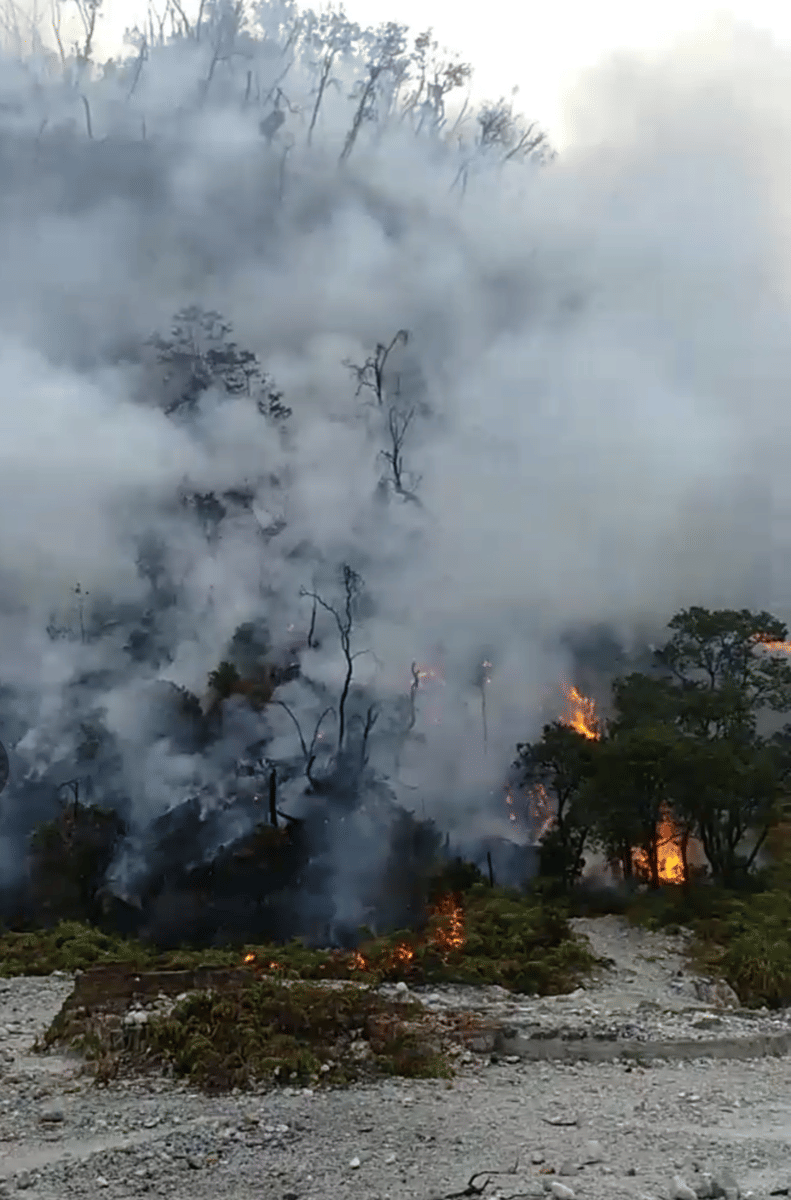 Dok.IDN Times/Istimewa