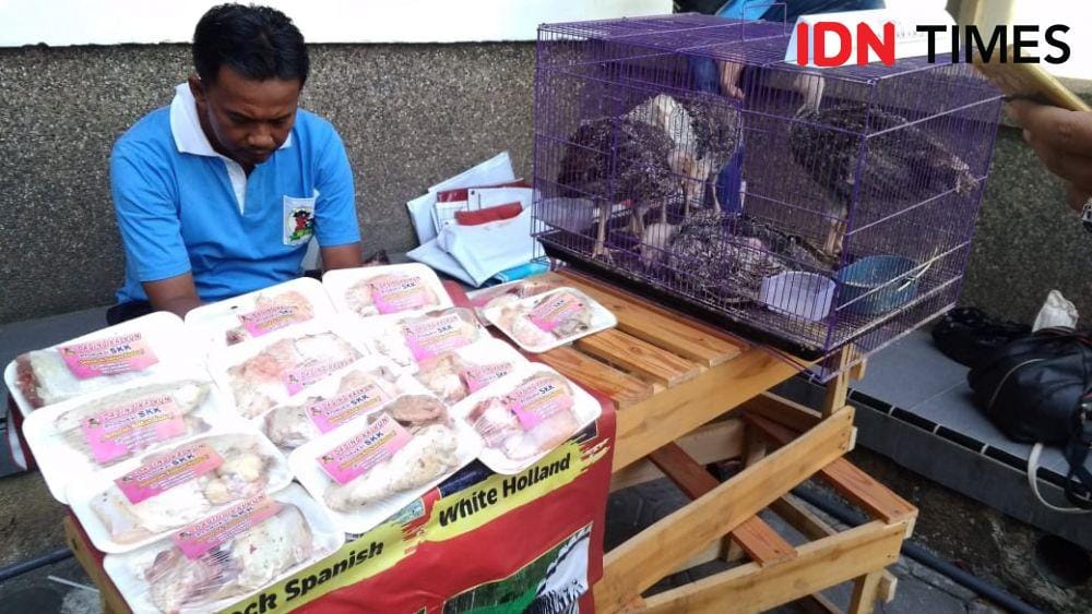 IDN Times/Oetoro Aji