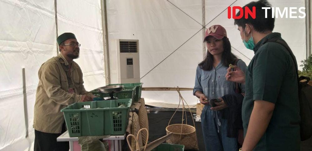 IDN Times/Roh Cahaya Padang