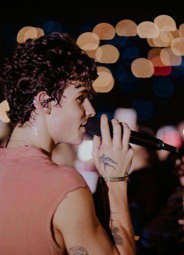 Instagram.com/shawnmendes