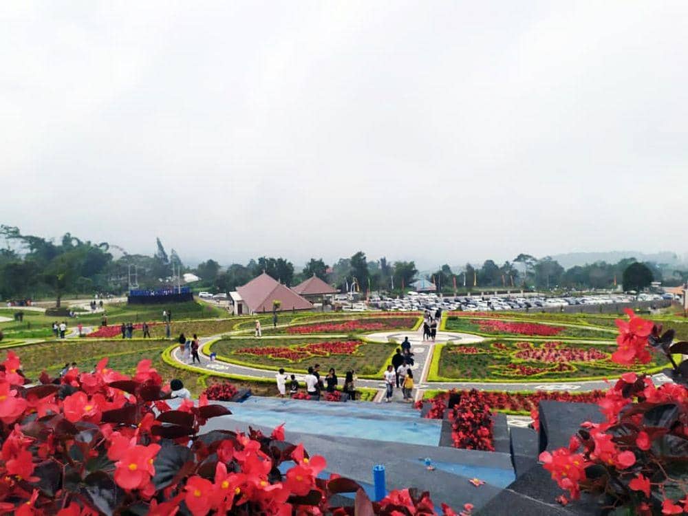 pictame.com/user/thebloomsbali