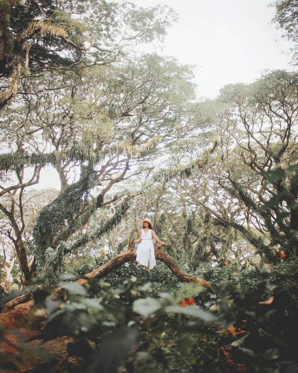 instagram.com/andreadii_