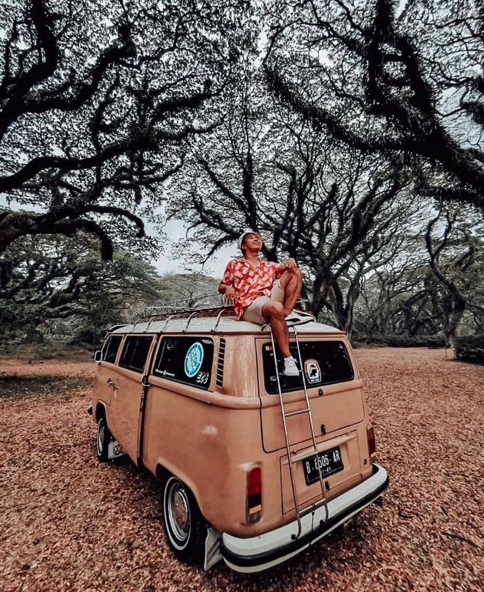 instagram.com/anwar_bab