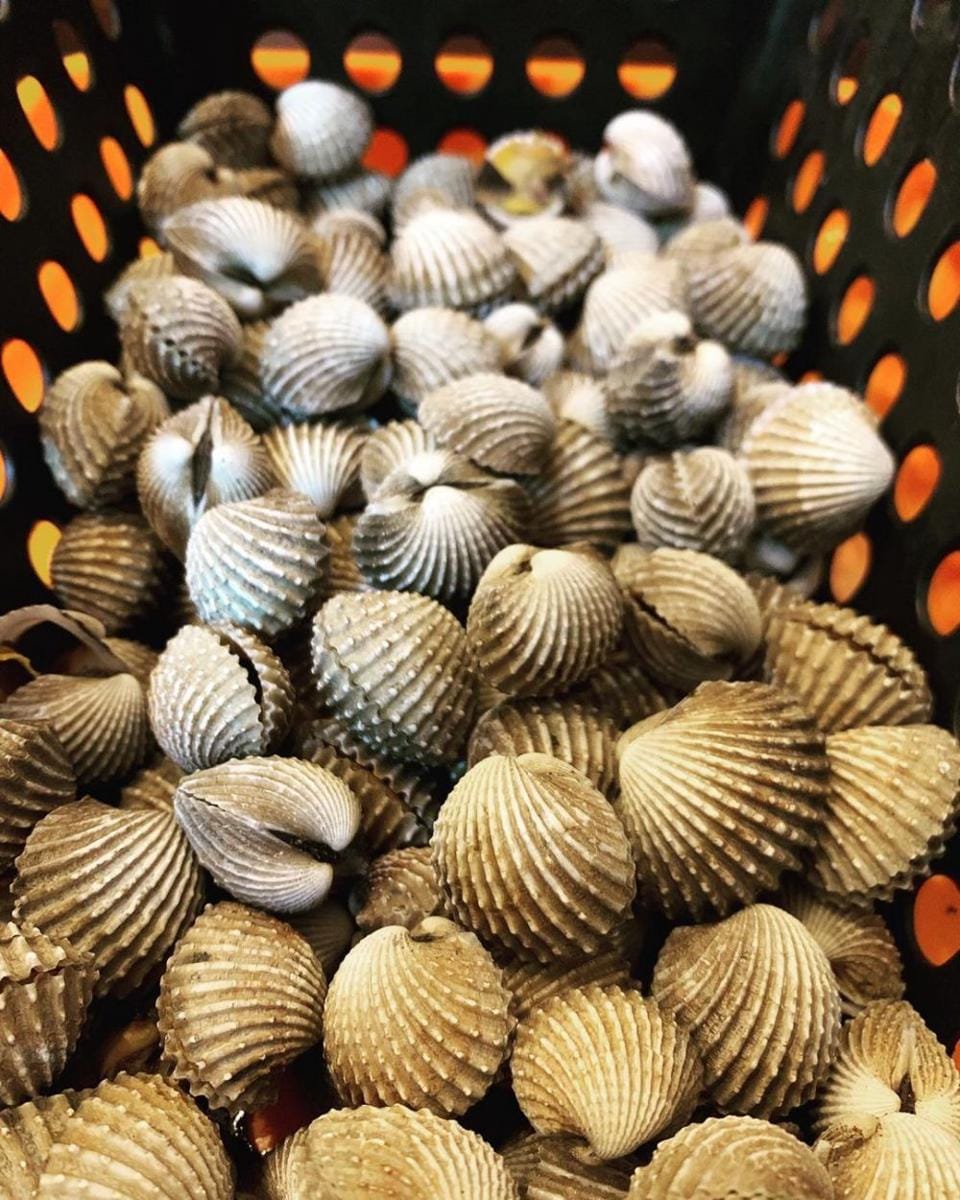 Instagram.com/bestmood_forcapture