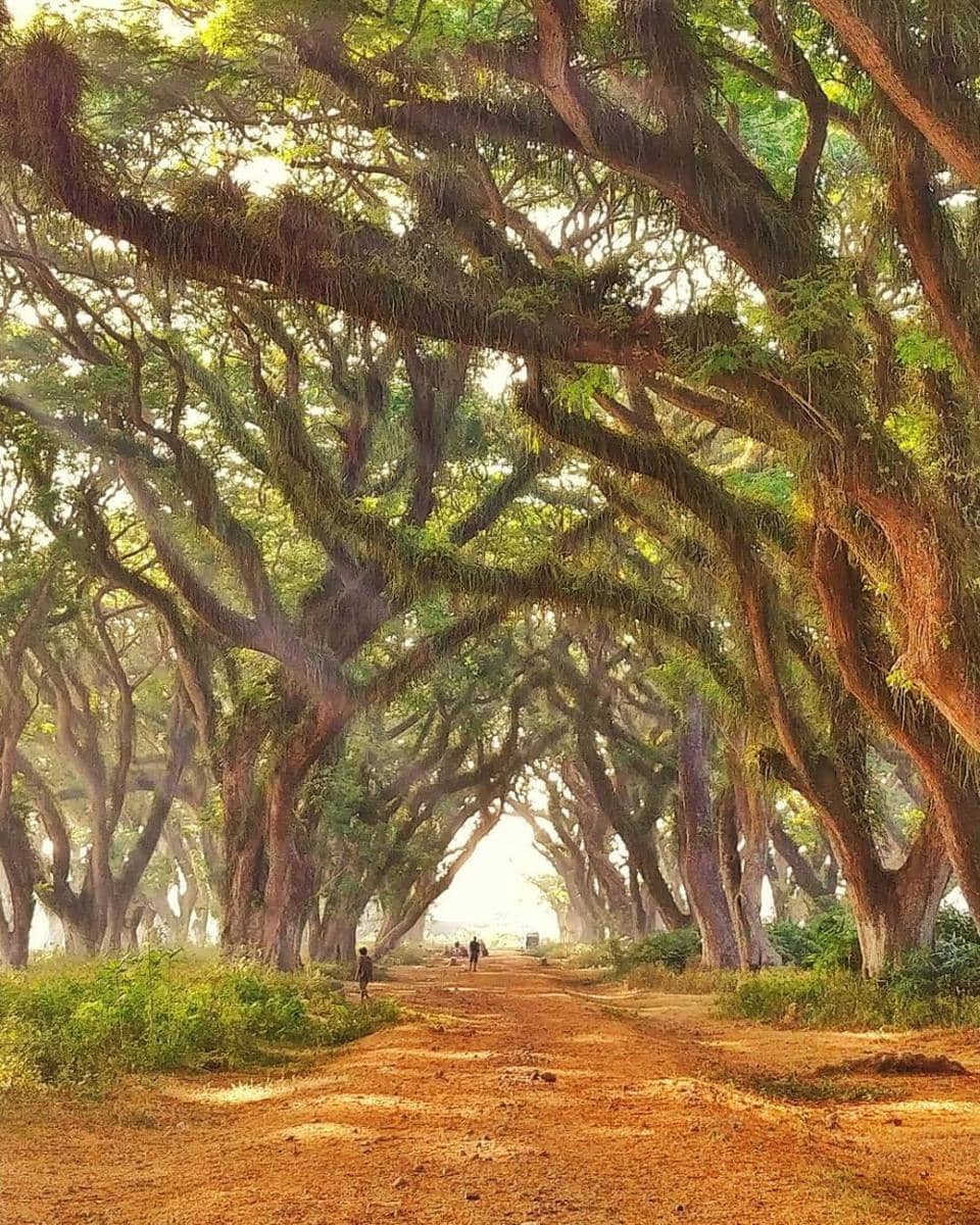 instagram.com/gatusso_gt