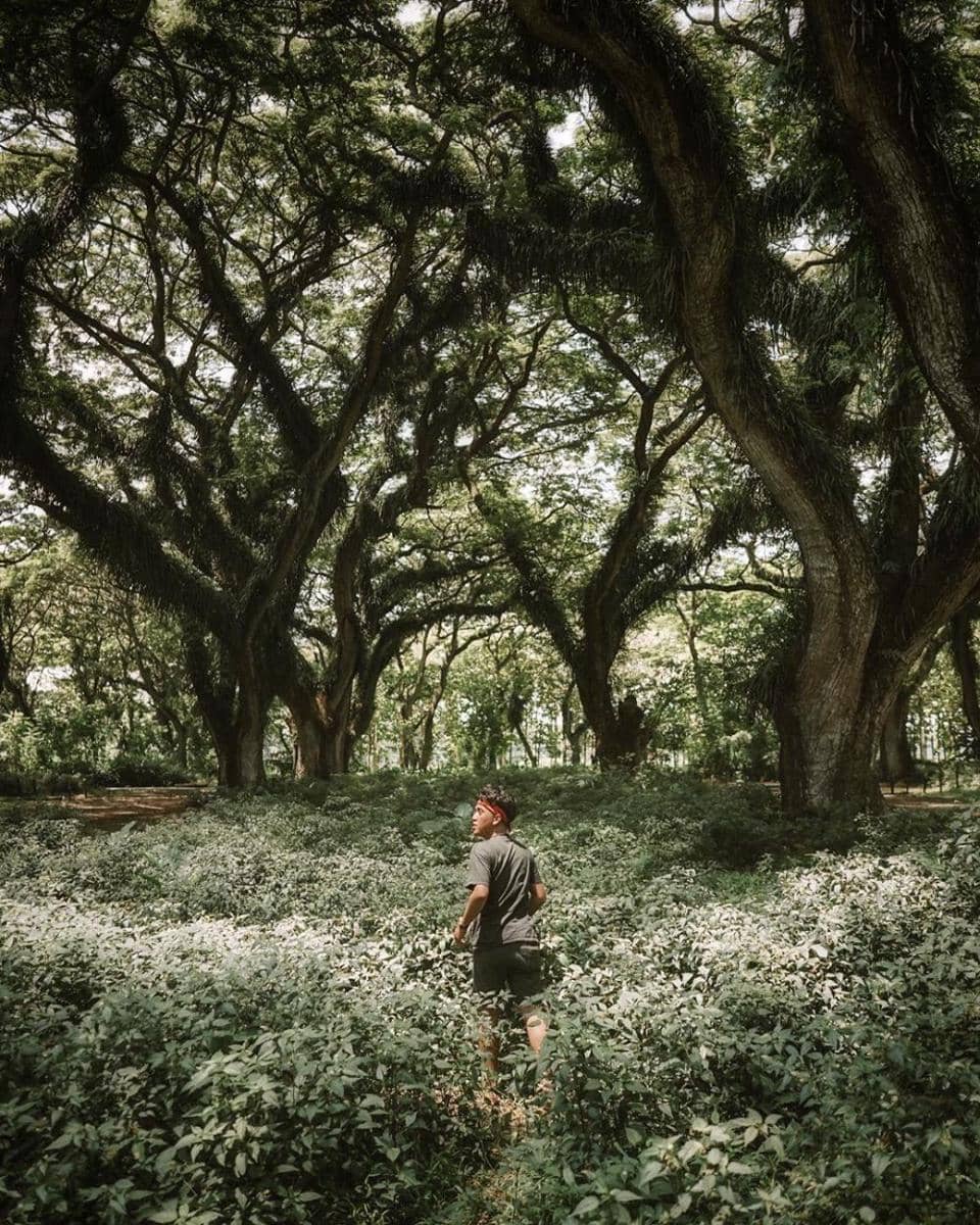 instagram.com/aqilavviv