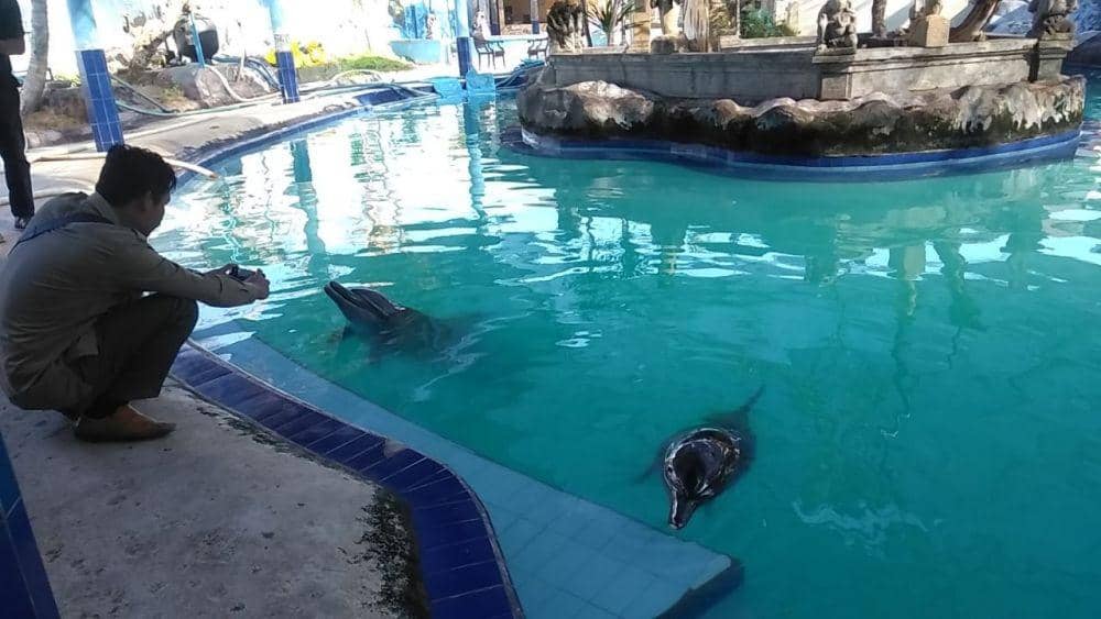 Dok.IDN Times/ istimewa