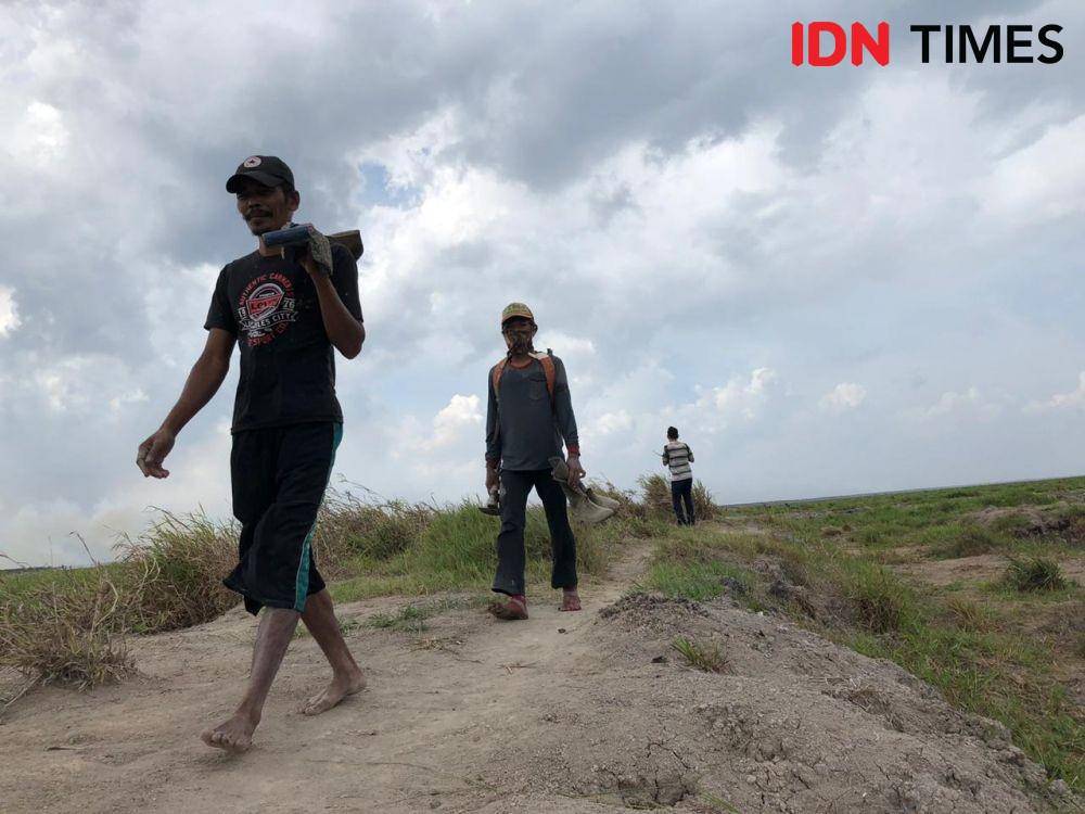 Kecamatan Cengal, Kabupaten, Ogan Komering Ilir (OKI), Sumatera Selatan (Sumsel) (IDN Times/Rangga Erfizal)