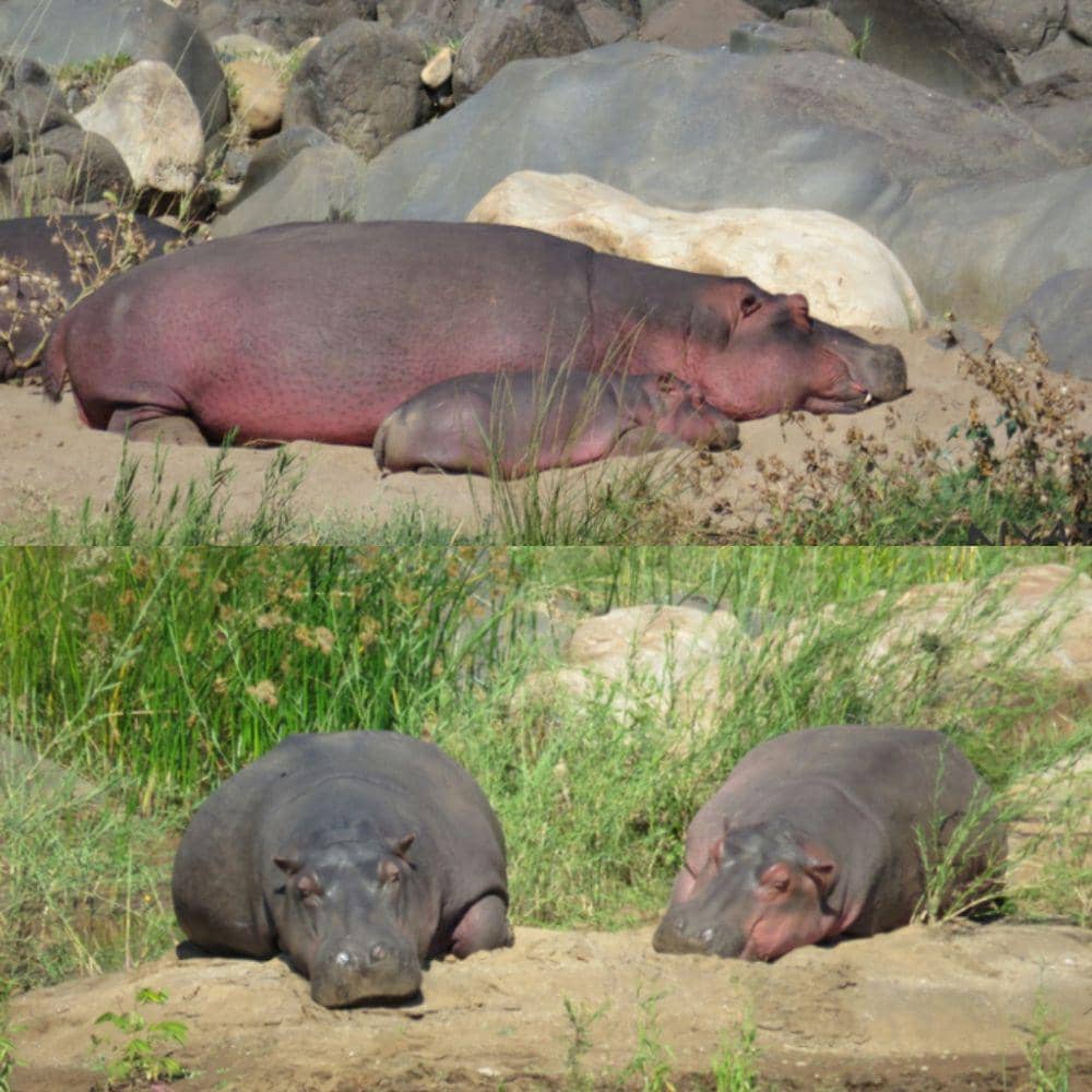 africageographic.com