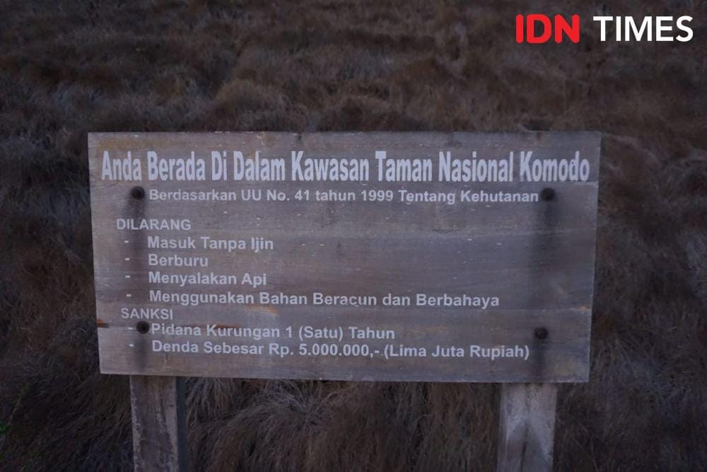 IDN Times/Gregorius Aryodamar P