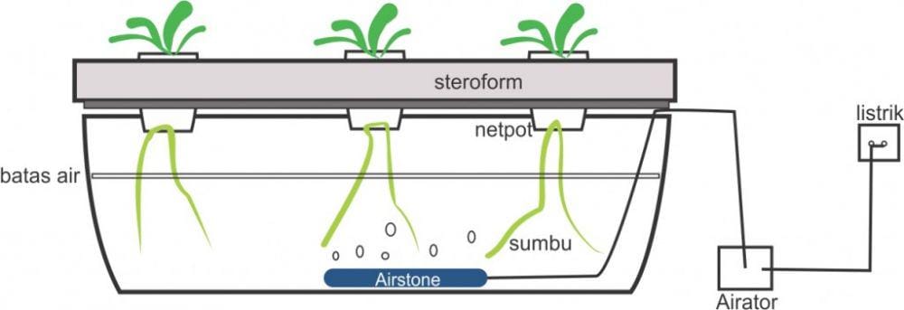 hidroponikuntuksemua.com