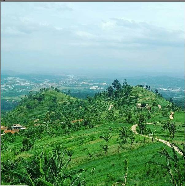 Instragram @desawisatamunding.id