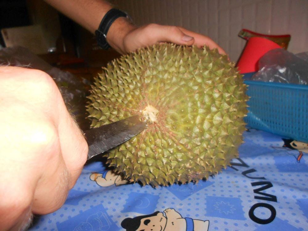 yearofthedurian.com