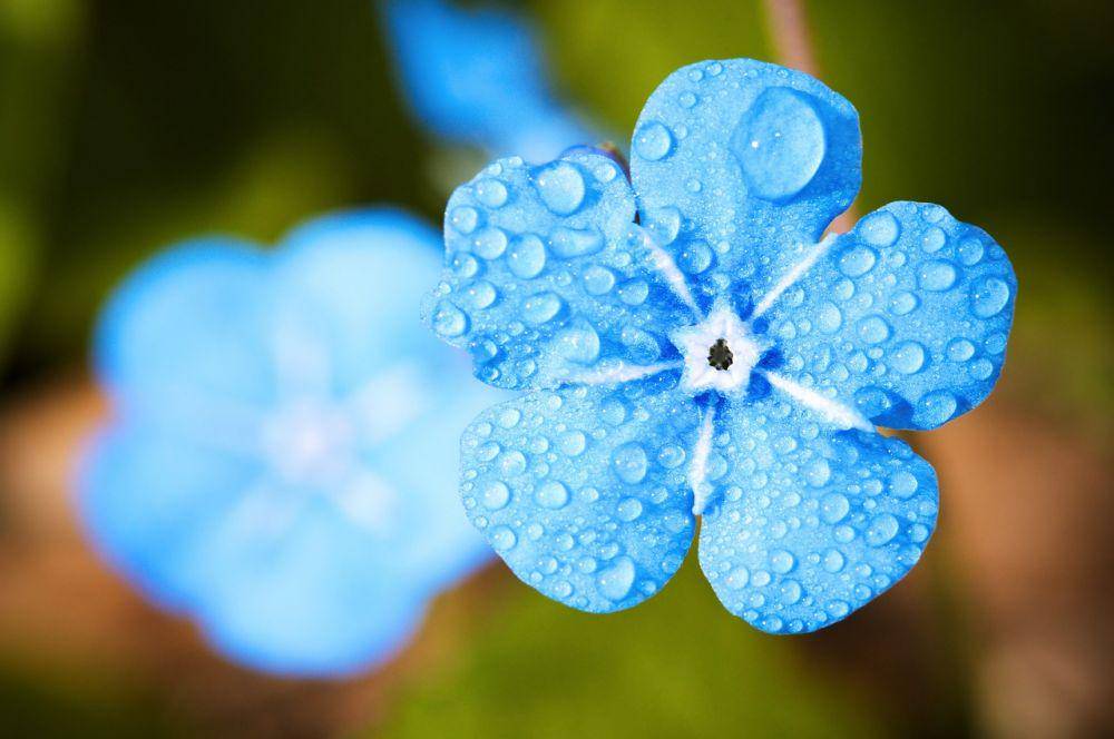 Pixabay