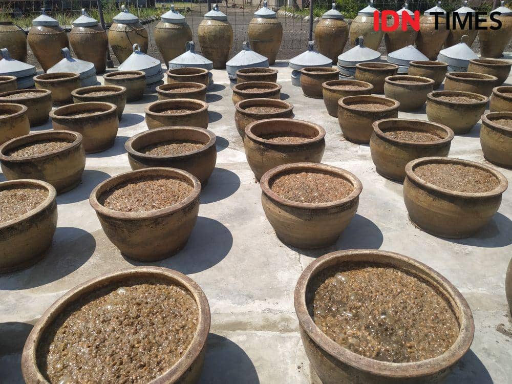 IDN Times / Auriga Agustina