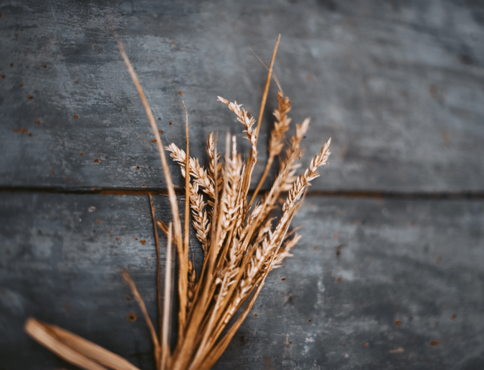 Unsplash.com/Gaelle Maecel