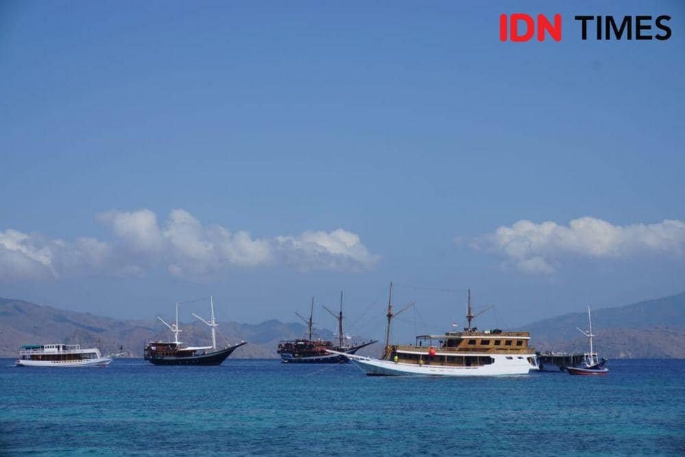 IDN Times/Gregorius Aryodamar P