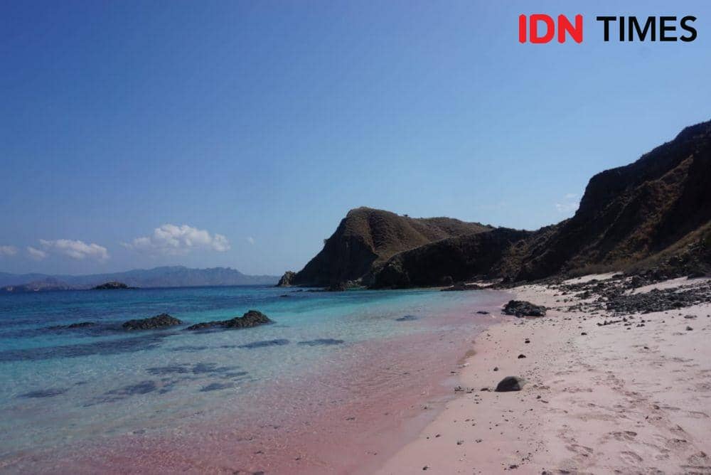 IDN Times/Gregorius Aryodamar P