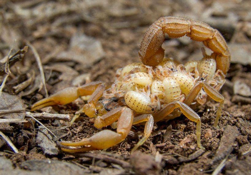 nationalgeographic.com