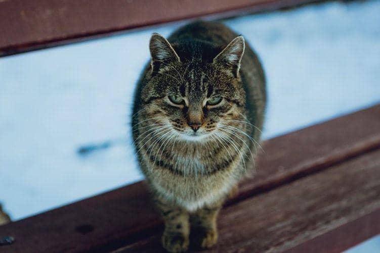 unsplash/Olga Kononenko