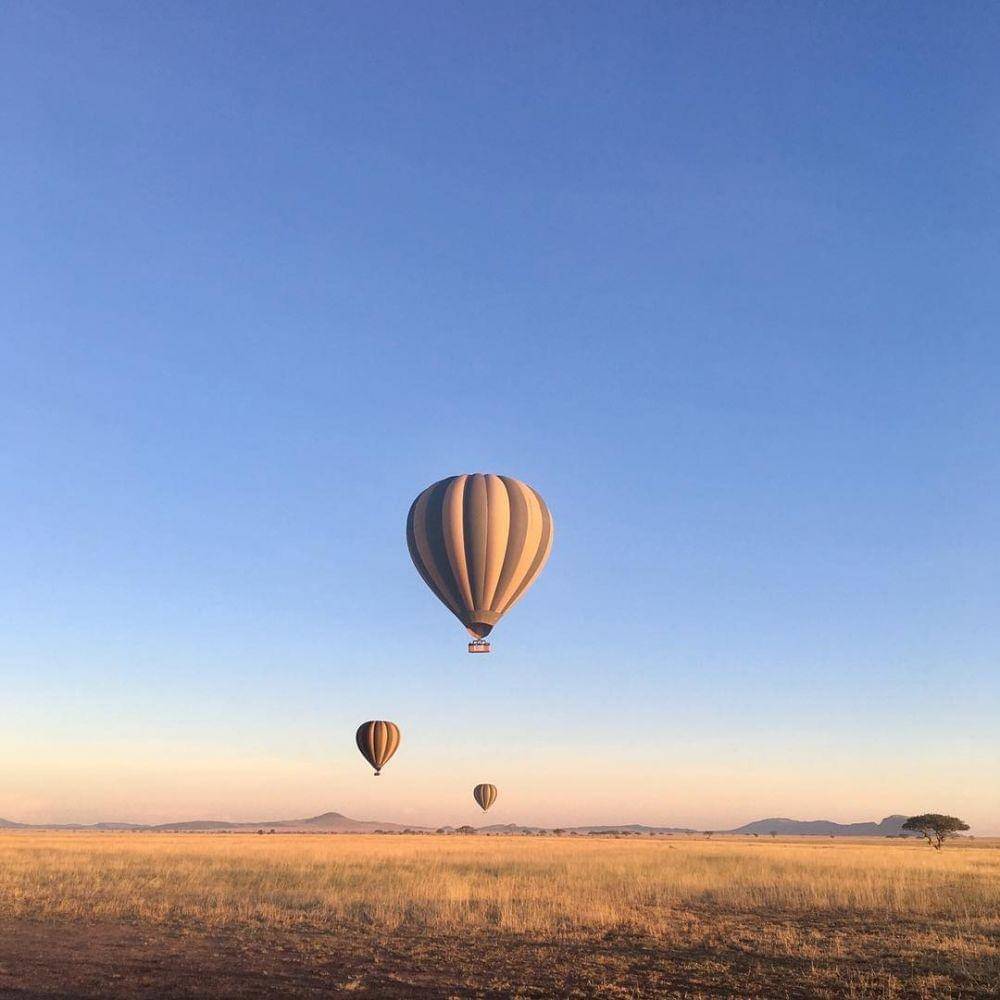 instagram.com/serengetiballoonsafaris