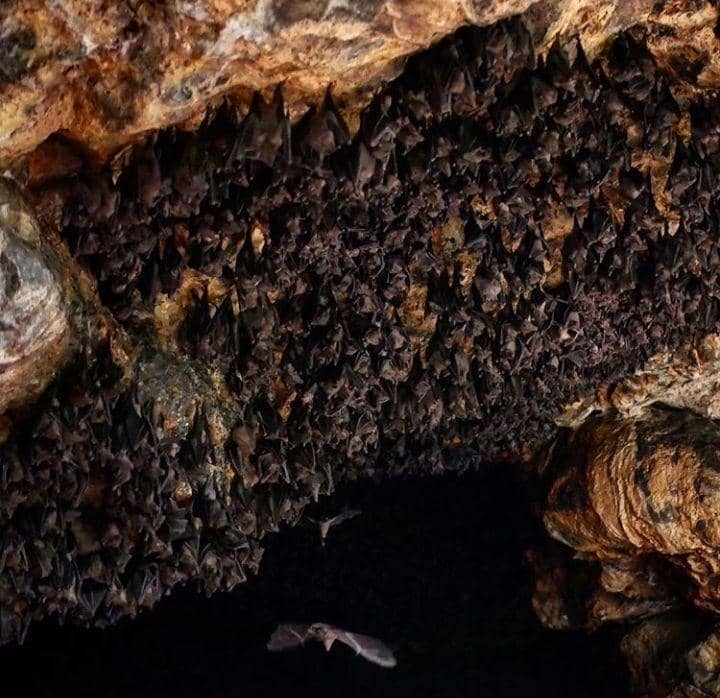 instagram.com/pwgdochi