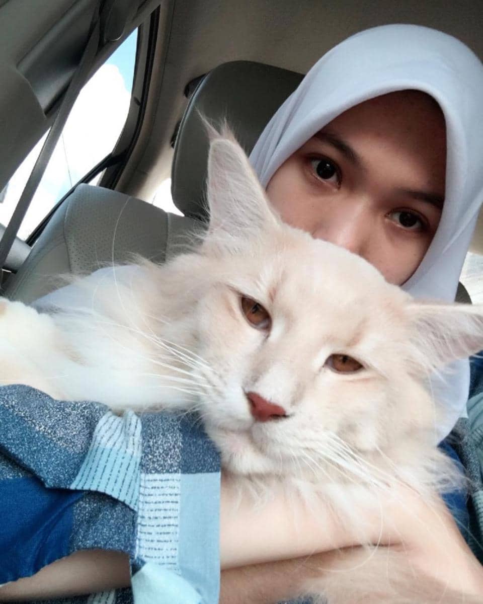 instagram.com/raesafaradilla