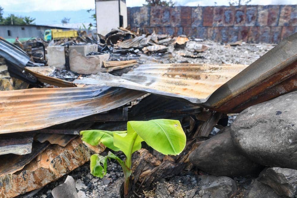 ANTARA FOTO/M Risyal Hidayat