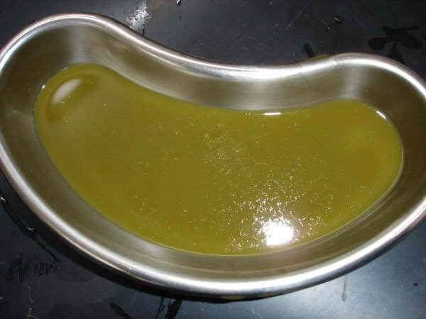 wildpro.twycrosszoo.org