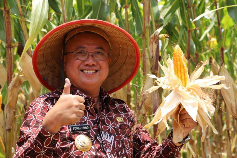 Bupati Bantul sekaligus Ketua DPC Partai Gerindra Bantul Suharsono. IDN Times/Kominfo Bantul