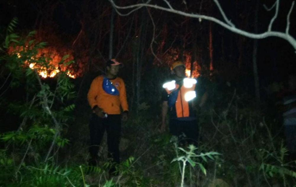 Dok.IDN Times/Istimewa