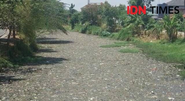 IDN Times/Yogi Pasha