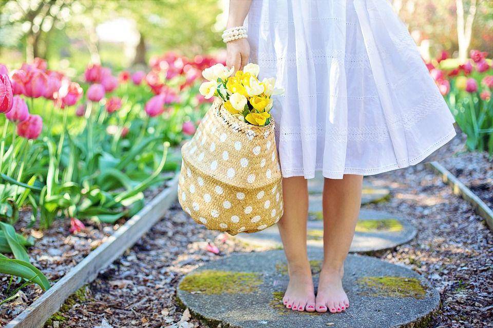 pixabay.com/jillwellington