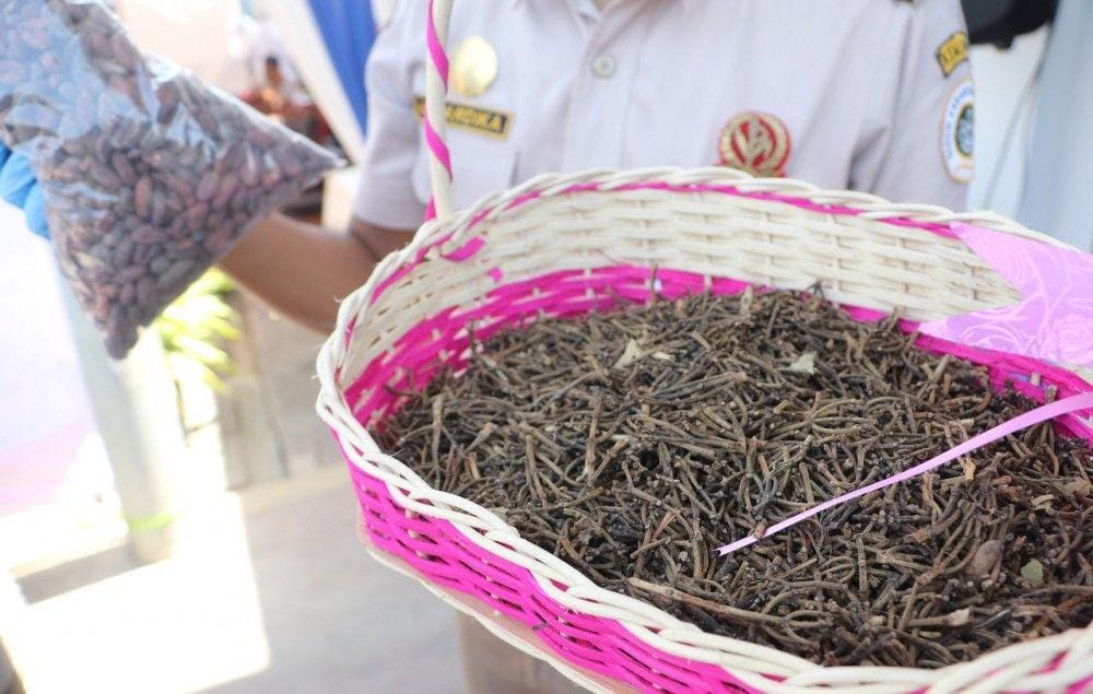 Batang cengkeh (pertanian.go.id)