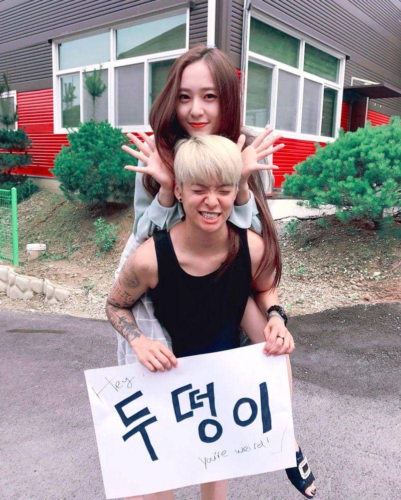 instagram.com/ajol_llama