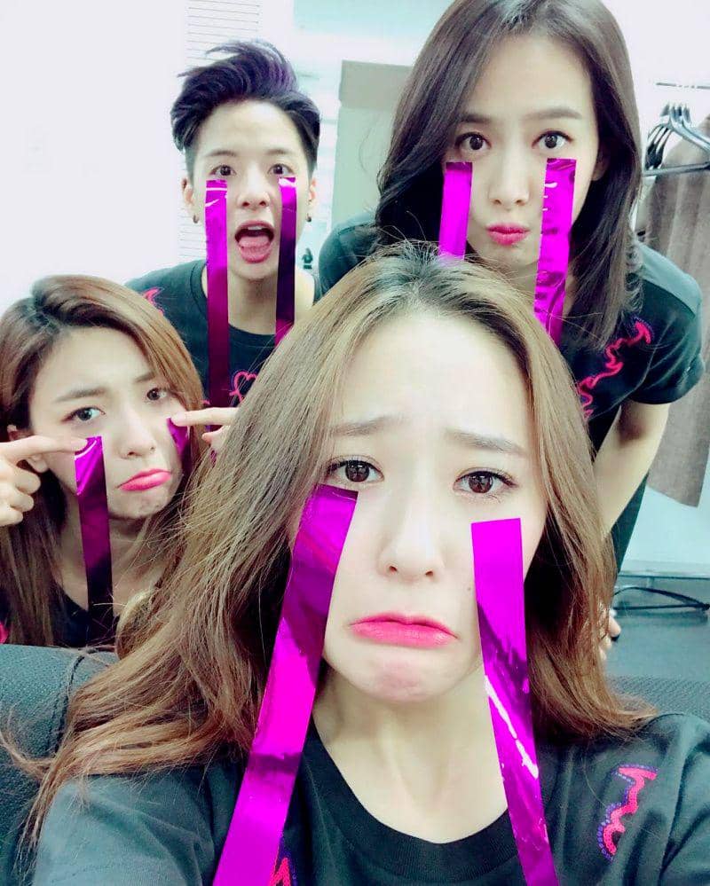 instagram.com/ajol_llama