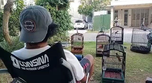 instagram.com/dodit_mul