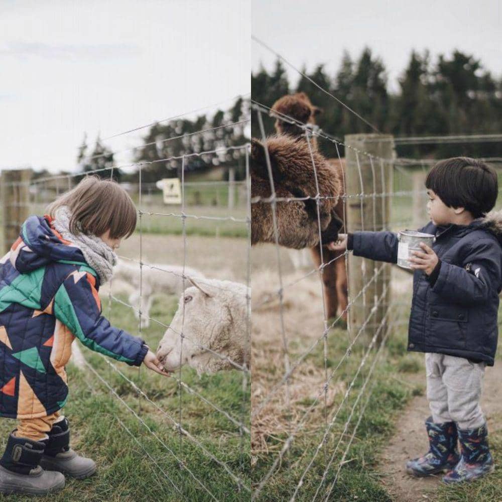 Instagram.com/tarrabudiman