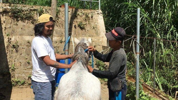 instagram.com/dodit_mul