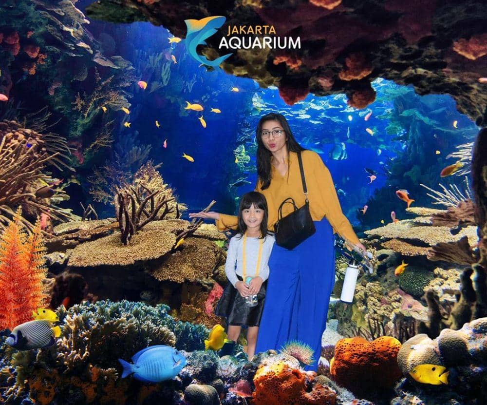 instagram.com/lizaellyp