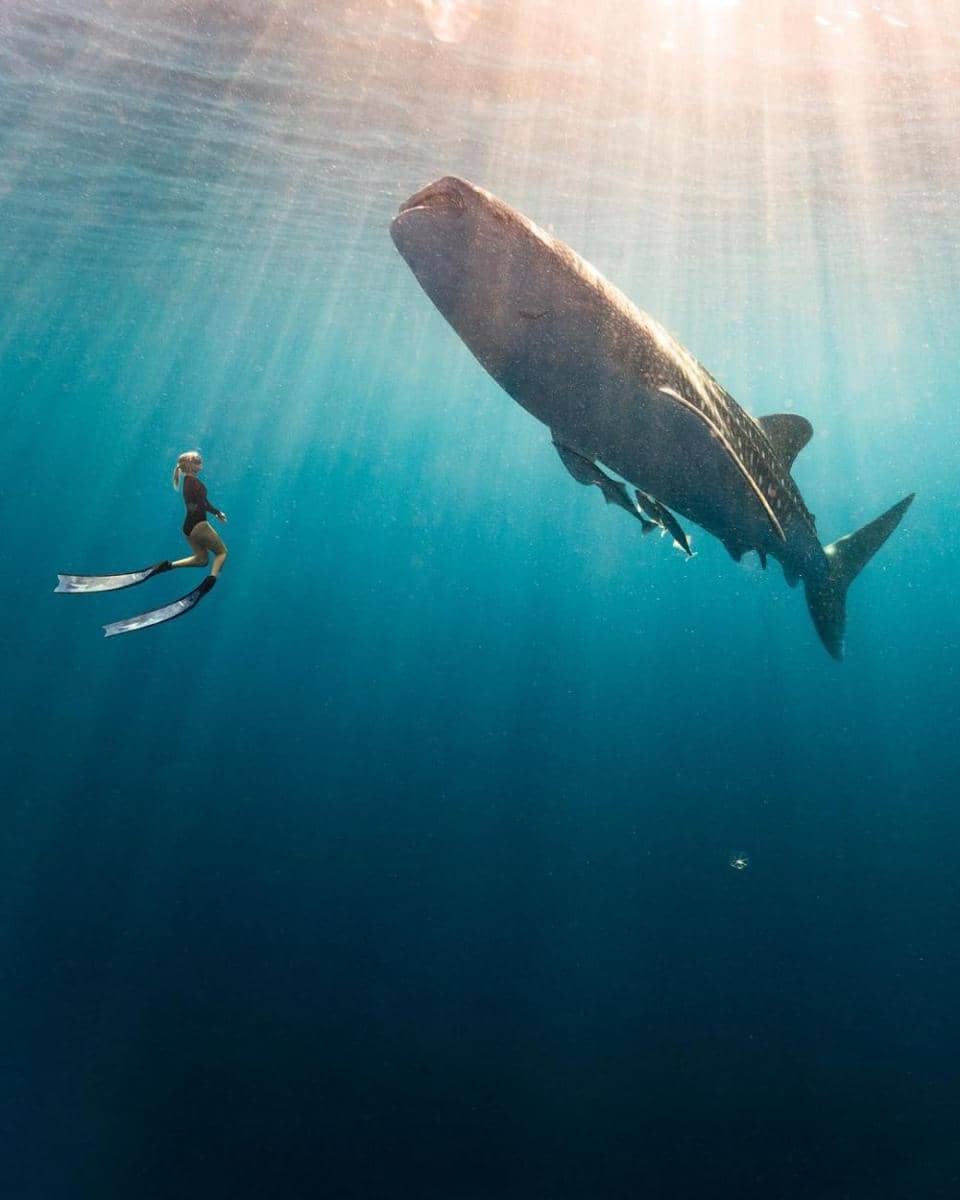 instagram.com/travisburkephotography