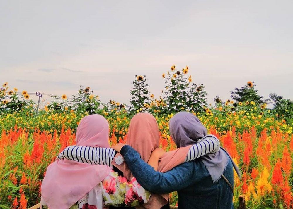 instagram.com/julidcomedy