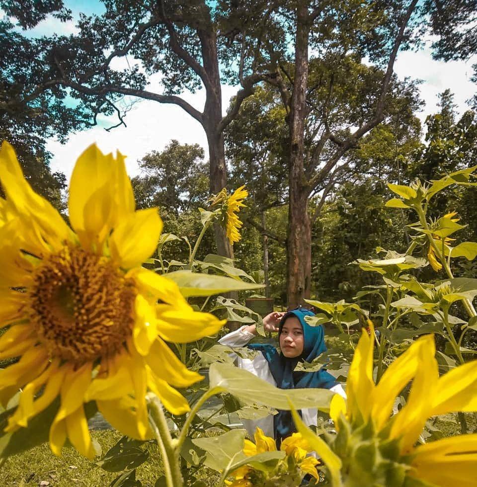 instagram.com/finairy