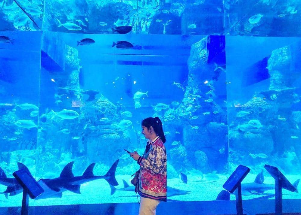 Instagram.com/windakhair