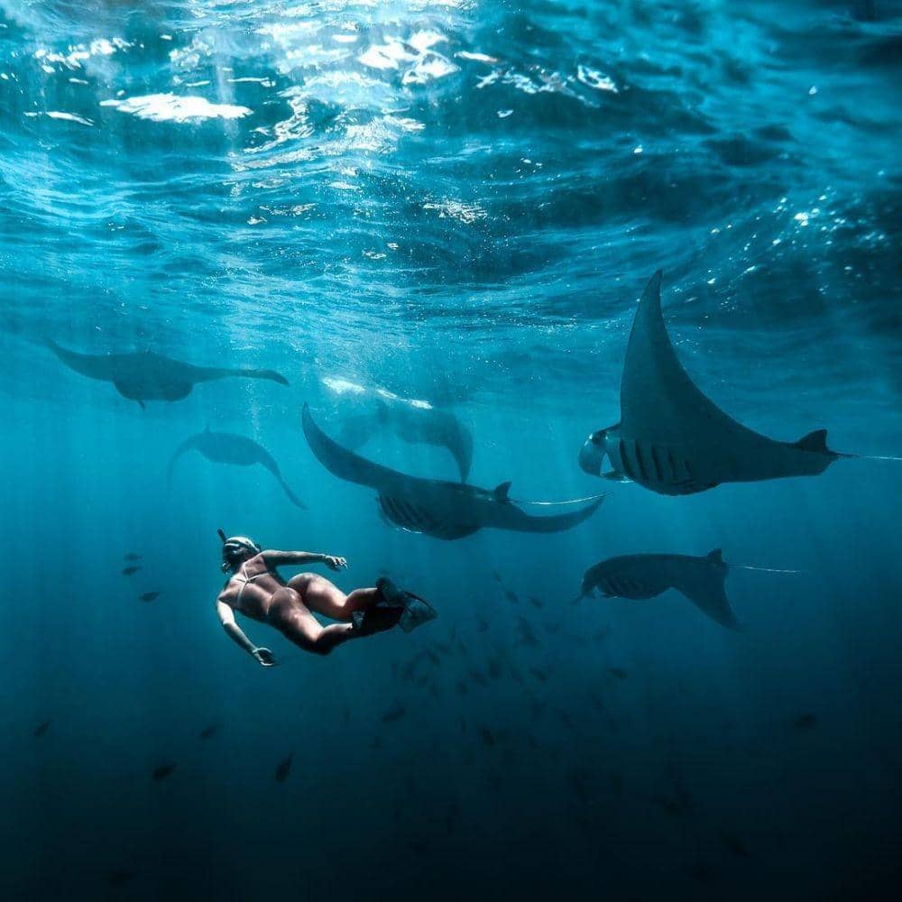 instagram.com/brandonverdura