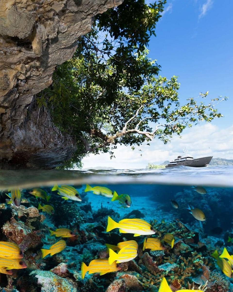 instagram.com/aqua_expeditions