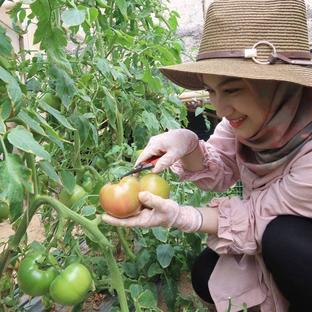 Instagram.com/melodylaksani92