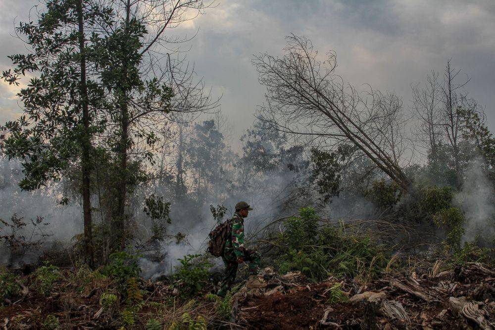 ANTARA FOTO/Rony Muharrman